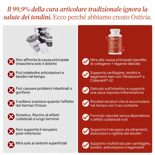 Ostivia Men™ - Complete joint support