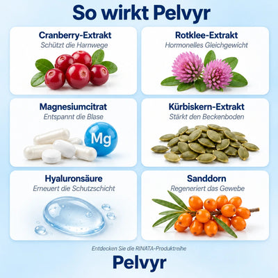 Pelvyr™ - Unterstützung für die Blasengesundheit